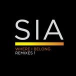 where i belong (roni size crush remix) - sia