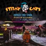 built for speed (live) - stray cats