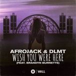wish you were here (feat. brandyn burnette) - afrojack, dlmt
