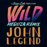wild (meduza remix) - john legend