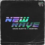 nothing (extended) - david guetta, morten