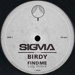 find me (vize remix) - sigma, birdy