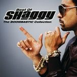 don't ask her that (album version) - shaggy, nicole scherzinger