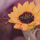 sunflower - kang