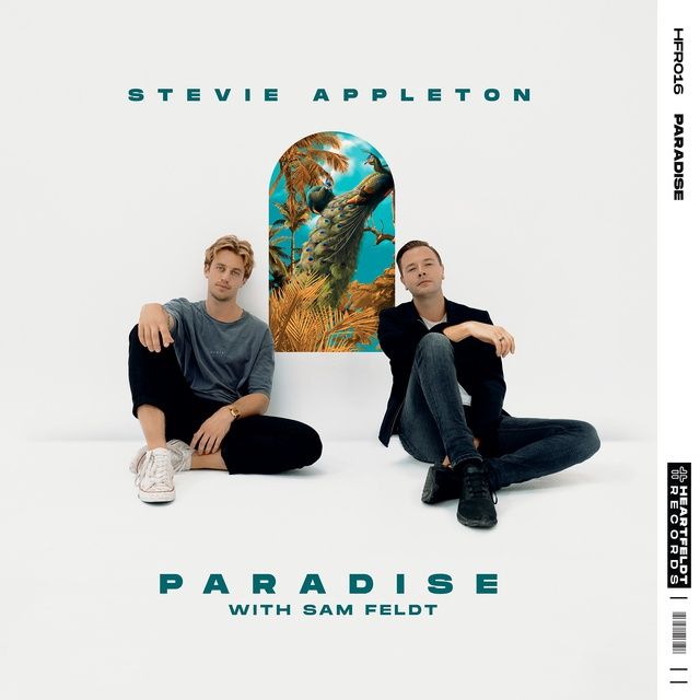 Paradise (With Sam Feldt) - Stevie Appleton - Tải Mp3|Lời Bài Hát -  Nhaccuatui