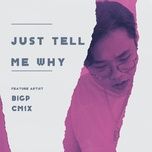 just tell me why - bigp