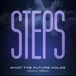 what the future holds (cahill remix) - steps