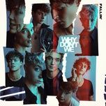 fallin' - why don't we