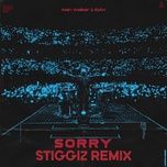 sorry (stiggiz remix) - alan walker, isak