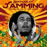 jamming (tropkillaz remix (extended)) - bob marley, the wailers, tiwa savage