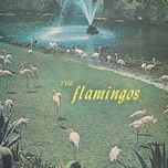 nobody's love - the flamingos