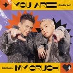 you are my crush (the hero version) - quan a.p, dsmall