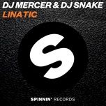 lunatic - dj snake, mercer