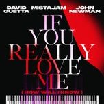 if you really love me (how will i know) - david guetta, mistajam, john newman