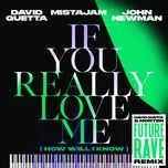 if you really love me (how will i know) [david guetta & morten future rave remix] - david guetta, mistajam, john newman