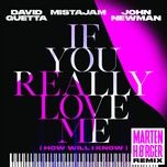 if you really love me (how will i know) [marten hørger remix] - david guetta, james newman, mistajam