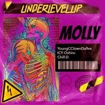 Nghe nhạc Molly - Young Cclown, Icy Oshiro, Chill D