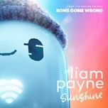 sunshine (from the motion picture “ron’s gone wrong”) - liam payne