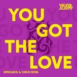 you got the love - never sleeps, afrojack, chico rose