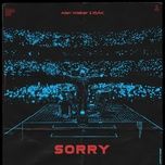 sorry - alan walker, isak