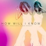how will i know - whitney houston, clean bandit