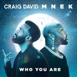 who you are - craig david, mnek