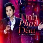 tinh phai dau - bang cuong