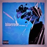 Nghe ca nhạc Bluerose (Remix Version) - KidMayo, PTA, DCOD
