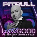 i feel good (feat. anthony watts & djws) - pitbull