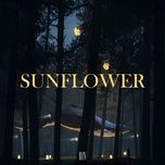 sunflower - rin