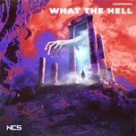 Nghe nhạc What The Hell - Johnning
