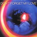 Tải bài hát Don’t Forget My Love Mp3 về máy