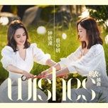 wishes - twins