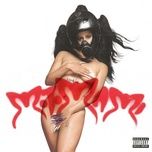 chicken teriyaki - rosalia