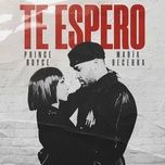 Download nhạc Te Espero Mp3 về máy