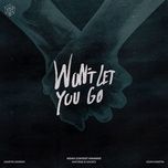 Nghe và tải nhạc Won't Let You Go (Mazan Remix) online