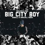 bigcityboi (dj dsmall remix) - dsmall, binz, touliver
