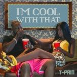 Nghe nhạc I'm Cool With That - T-Pain