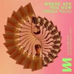 Where Are You Now (Kungs Remix) - Lost Frequencies, Calum Scott