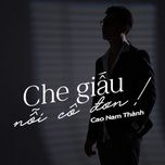 chi la loi noi doi (remix) - cao nam thanh