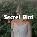 secret bird sound - melomix, black p, kara