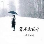 Ca nhạc Không Thể Đợi Hoa Nở / 等不来花开 (Nữ Thanh Bản) (Beat) - Vượng Tử Tiểu Q