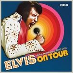 burning love (version 2) - elvis presley