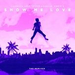 show me love (dubdogz remix) - steve angello, laidback luke