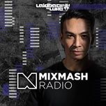turbulence (mix cut) - laidback luke, steve aoki, lil jon