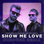 show me love (dubdogz remix) - steve angello, laidback luke