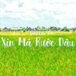 xin ma ruoc dau (orinn vinahouse remix) - dang cap nhat