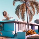 seasonal love - snazzy