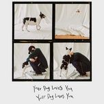 your dog loves you - colde, crush