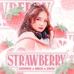 strawberry - cammie, 